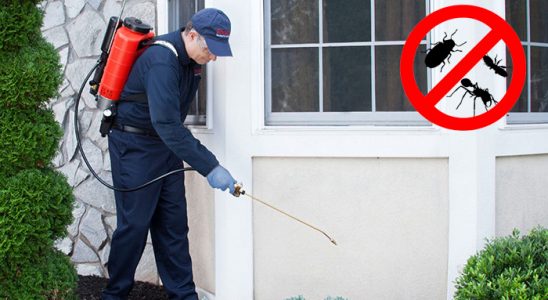 Alpu Hamam Böceği İlaçlama böcek ilaçlama ve haşere kontrolü — ilaclama-tr.com